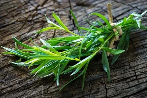 نرخ روز سبزی ترخون خشک + خرید مطمئن